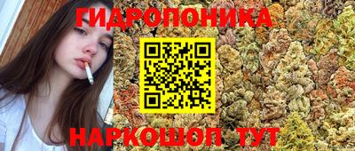 герыч Аргун