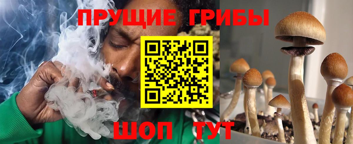 Галлюциногенные грибы Psilocybe Златоуст
